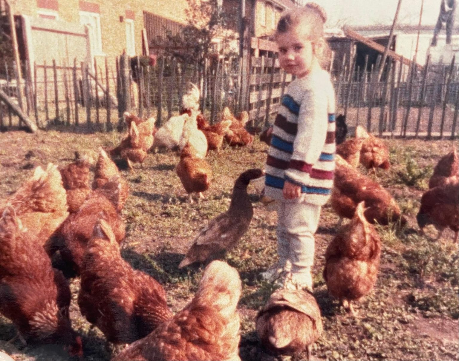 WhatsApp-Image-2025-07-01-at-10.38.31-4