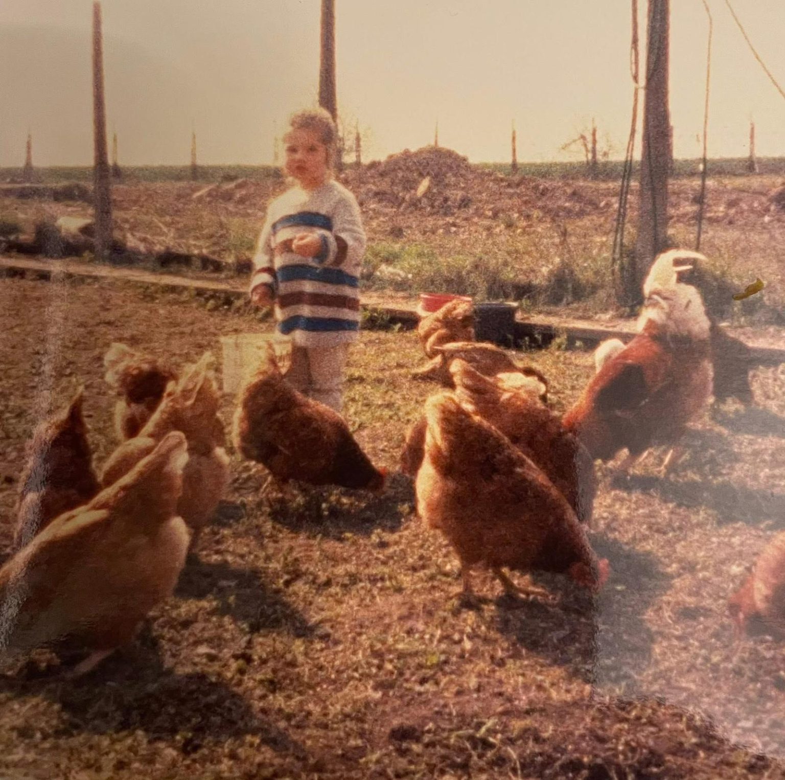 WhatsApp-Image-2025-07-01-at-10.40.52