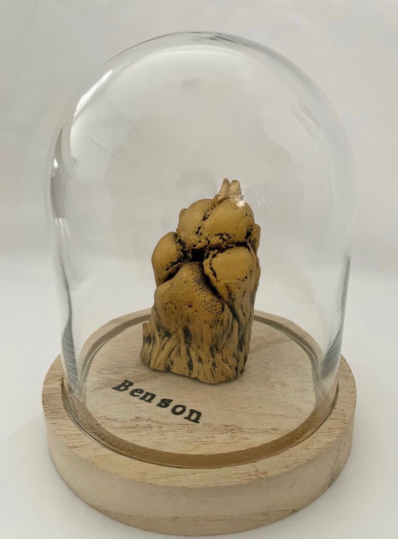 WhatsApp Image 2025-10-06 at 21.43.46