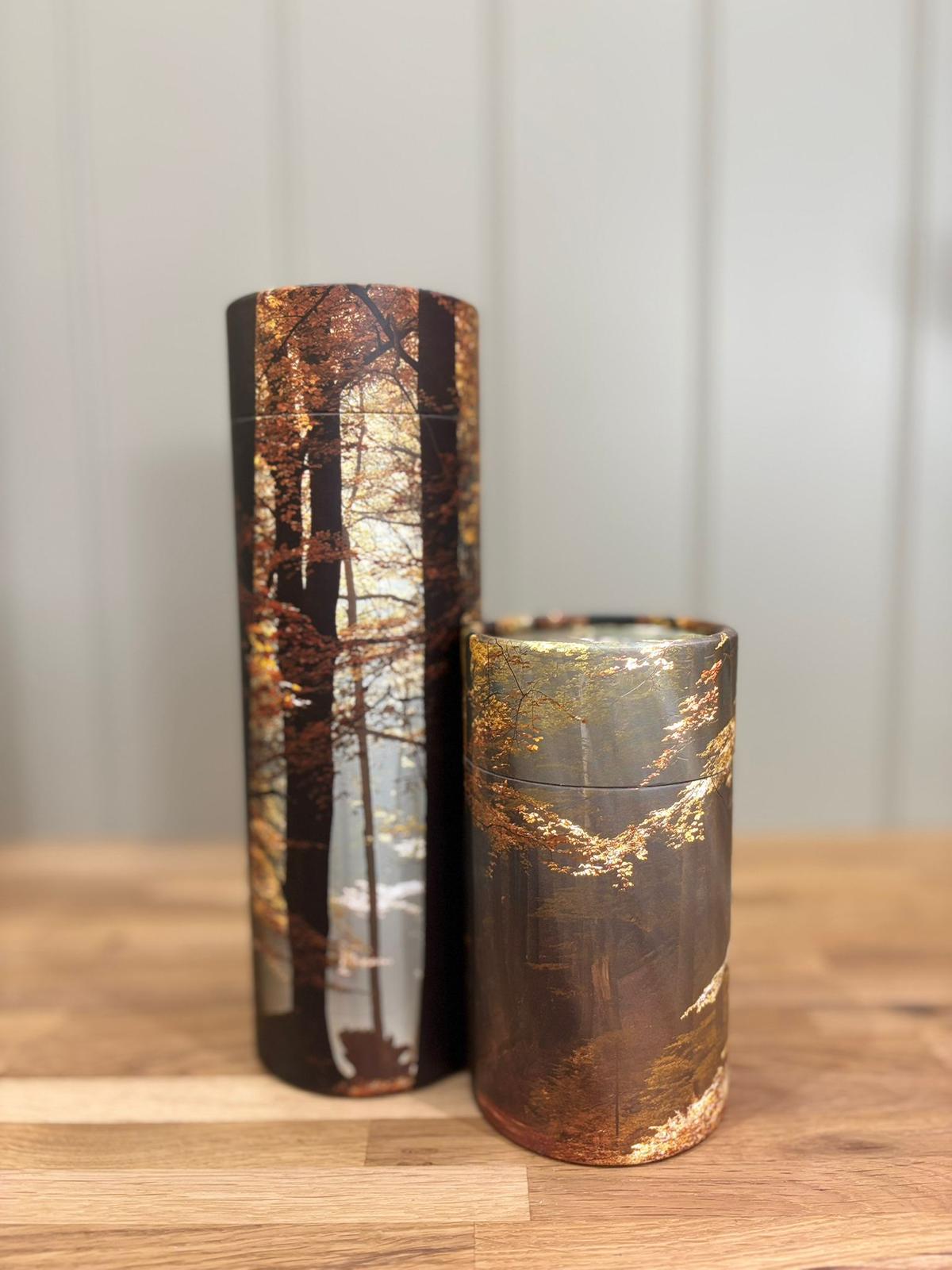 WhatsApp Image 2025-10-08 at 20.13.35 (1)