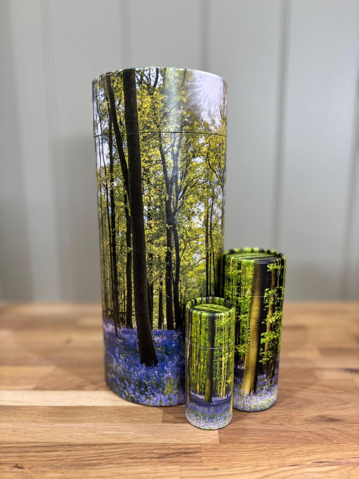 WhatsApp Image 2025-10-08 at 20.13.35