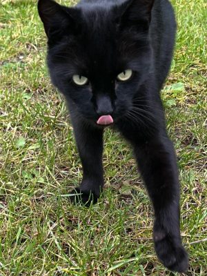 WhatsApp Image 2025-10-06 at 21.03.08