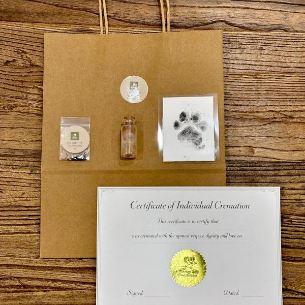 WhatsApp Image 2026-03-12 at 15.28.19 WhatsApp Image 2026-03-12 at 15.28.19